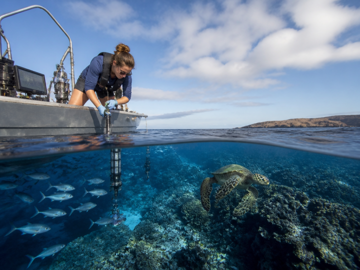 Ocean Exploration and Marine Life for General Adult Learners